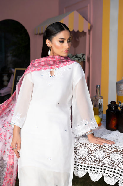 3 Piece | Net White | Khadi Net Stitched